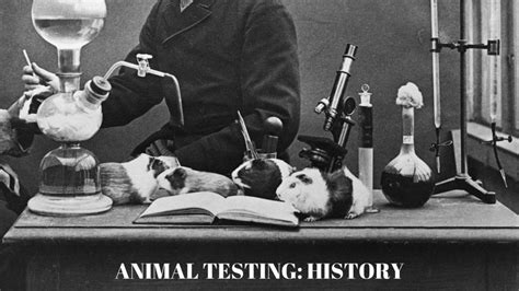 The History Behind Animal Testing In Research By Nu Sci Staff Nu Sci