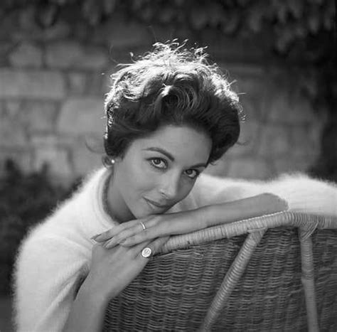 45 Nude Pictures Of Dana Wynter That Will Fill Your Heart With Joy A