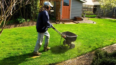 Lawn Care Basics How Much To Cut Irrigate Fertilize Lifestyles