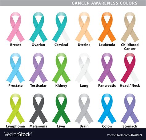 Cancer Awareness Colors Royalty Free Vector Image