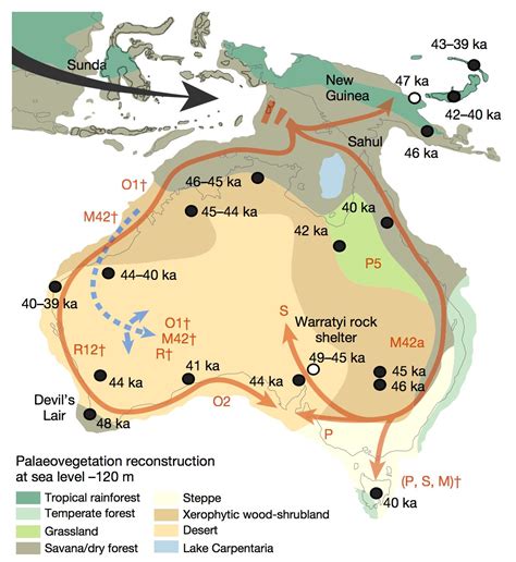Australia Was Colonized By A Single Group 50000 Years Ago Aboriginal