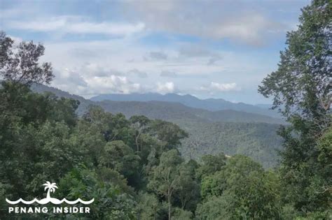 Bukit Larut Maxwell Hill Ultimate Guide Discover Taiping Hill Station