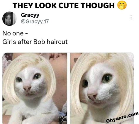 Details More Than 134 Funny Hair Memes Poppy