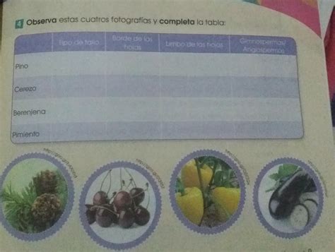 Observa estas 4 fotografías y completa la tabla porfis ayuda no