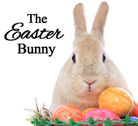 Easter Bunny Celebrating Holidays