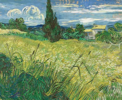 Green Field Painting By Vincent Van Gogh Fine Art America