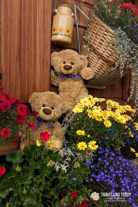 Both australia and new these make fabulous gifts for someone going travelling or for anybody who aspires to travel more. Ourson "TRAVELLING TEDDY" | Teddy bear wallpaper, Teddy ...
