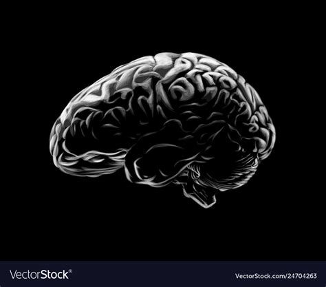 Human Brain On A Black Background Hand Drawn Vector Image