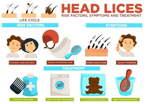Back To School Effective Ways To Remove Your Childs Head Lice