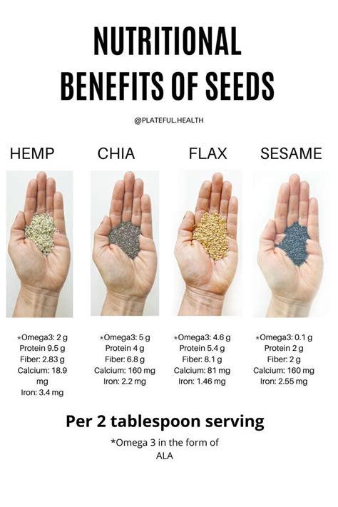 Nutritional Benefits Of Seeds Nutrition Tips Healthy Seeds To Eat