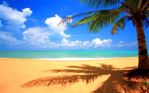 10 Best Beach Background Pictures Full Hd 1080p For Pc Desktop 2023