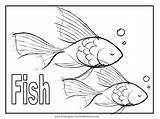 Fish Coloring Pages Animal Tuna Realistic Wildlife Puffer Worksheets Getcolorings Mazes Addition Color Popular Worksheeto sketch template