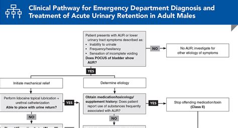 Acute Urinary Retention Emergency Department Management