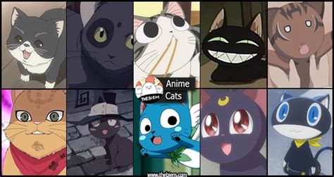 Top 20 Anime Cats That Will Steal All Your Love 2022