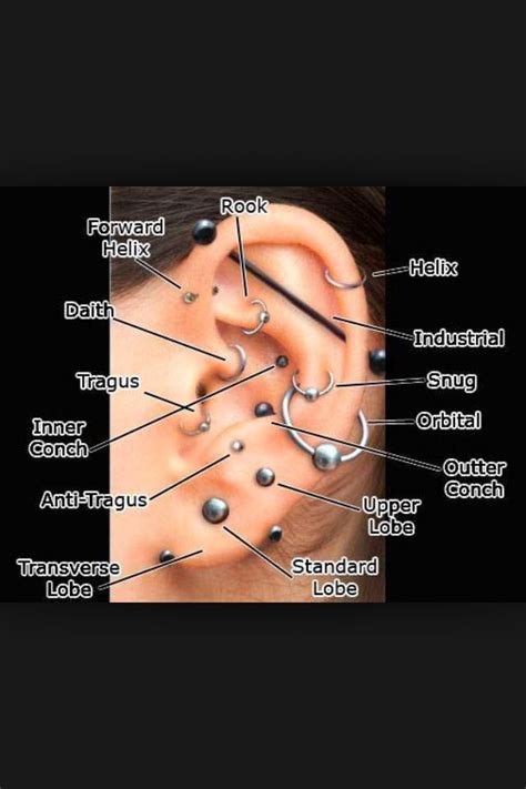 All The Possible Places To Get Your Ears Pierced Piercings Ear