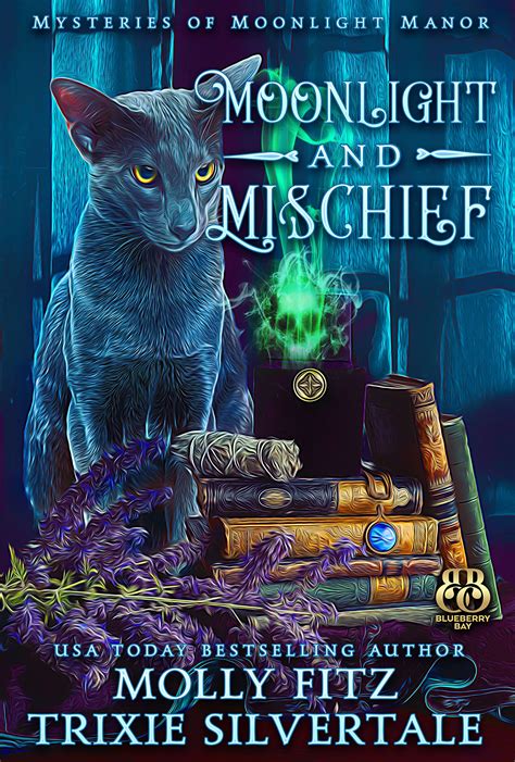 Moonlight And Mischief By Molly Fitz Goodreads