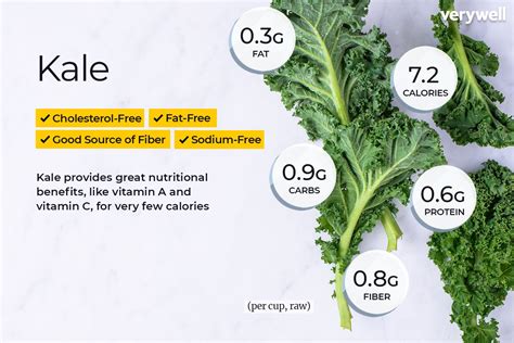 Kale Health Benefits And Nutrition Facts Why Kale Is No My Xxx Hot Girl