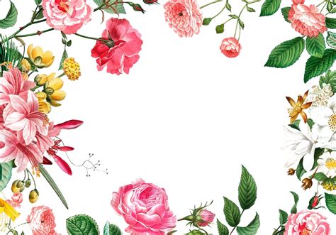 Floral Frame PNG Transparent Images PNG All