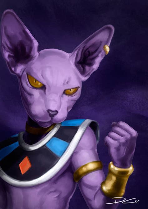 At petzlover you can buy, sell, adopt and rescue pets. Hairless Cat Beerus - Best Cat Wallpaper