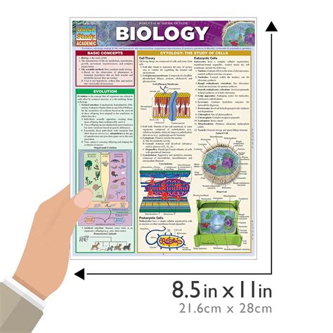 Quickstudy Biology Laminated Study Guide Geographia Maps