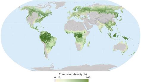Global Forest Cover Map Fao 2010 Forests Of The World Download