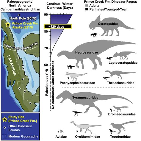 Species New To Science Paleontology • 2021 Nesting At Extreme Polar Latitudes By Non Avian
