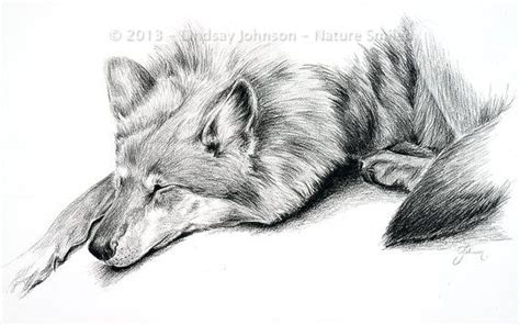 Pin By Katie Watson On Table Wolf Drawing Charcoal Art Art