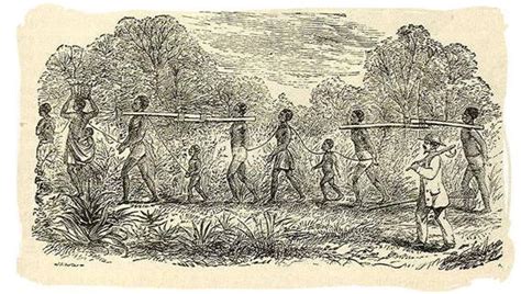 Slaves In South Africa History Of Slavery In South Africa African History Slavery History
