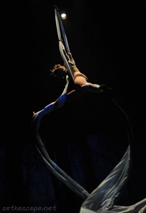 Photo Aerial Dance Aerial Silks Aerial Yoga Circus Photography Circus Art Aerial Arts