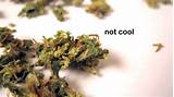 Good And Bad About Marijuana