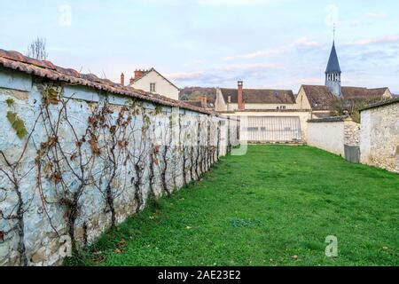 France, Seine et Marne, Thomery, remains of the walls for the ...