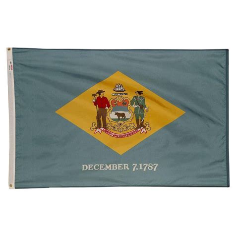 Valley Forge Flag 3 Ft X 5 Ft Nylon Delaware State Flag De3 The
