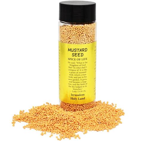 Holy Land Mustard Seeds Spice Of Life 180 Gram