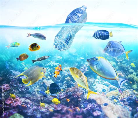 Fishes Watch A Floating Bottle Problem Of Plastic Pollution Under The