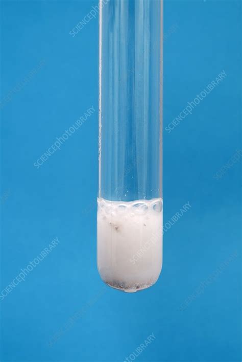 Calcium Reacting With Water Stock Image C0245752 Science Photo