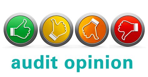 Audit Opinions How Your Financial Statements Measure Up