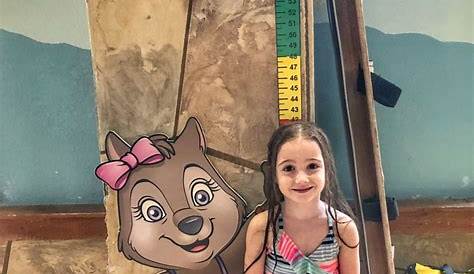 great wolf lodge height chart