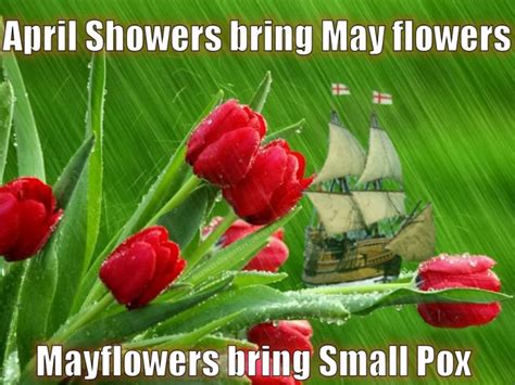 April Showers Bring May Flowers Myconfinedspace