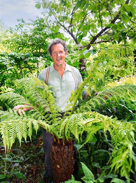 Monty Don On How To Successfully Grow Ferns In Your Garden Ferns