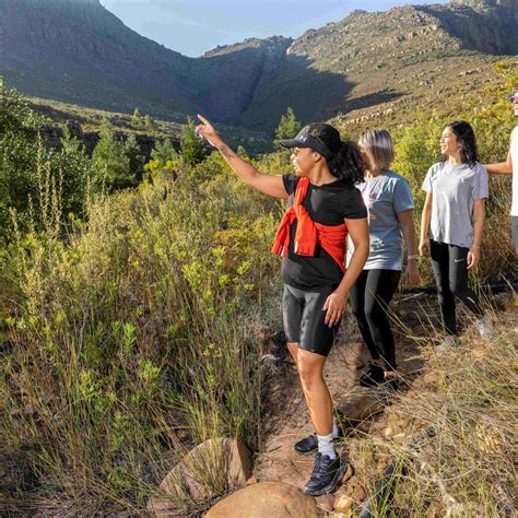 Discover The Best Wilderness Hiking Trails With Capenature This Spring