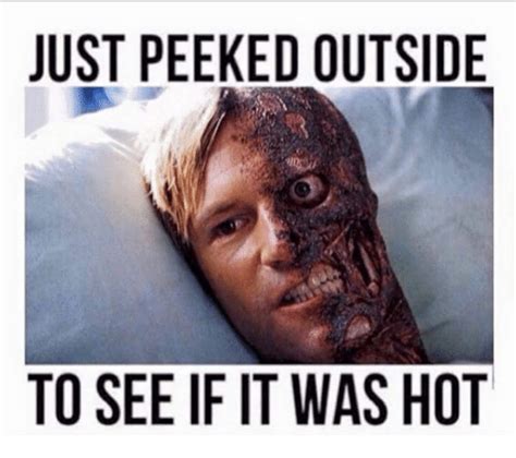 Keep Cool With These 12 Funny Heatwave Memes Munofore