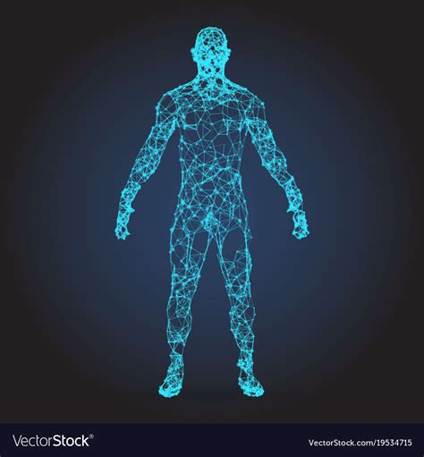 Low Poly Wireframe Human Body Abstract Royalty Free Vector