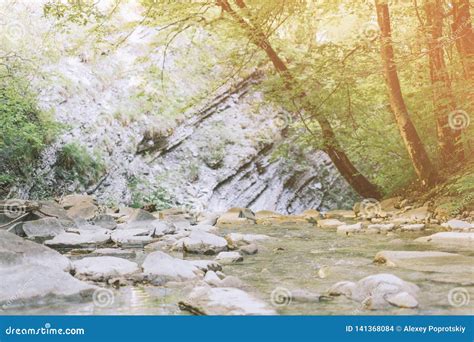 Mountain River Flowing In A Rocky Gorge Stock Photo Image Of Brook