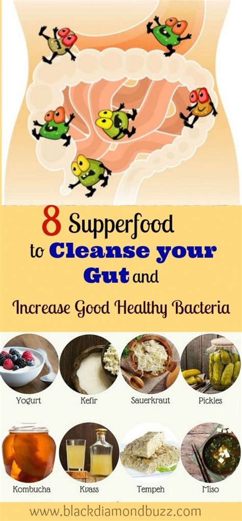 Learn Here 8 Superfood To Cleanse Your Gut And Increase Good Healthy