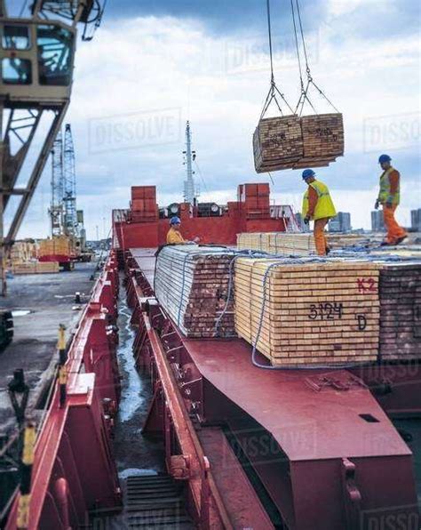 Workers Unloading Timber From Cargo Ship In Port Grimsby England