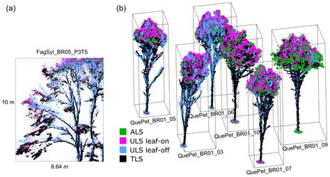 Essd Individual Tree Point Clouds And Tree Measurements From Multi
