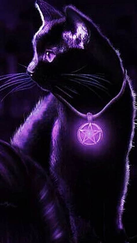 Pretty Purple Cat Cat Art Cute Animal Drawings