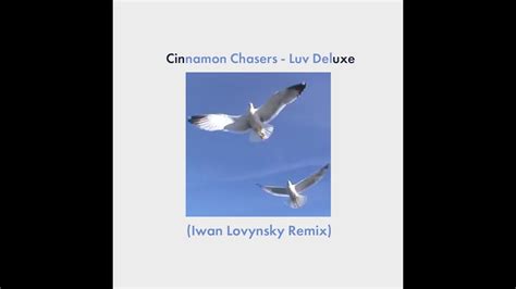 Cinnamon Chasers Luv Deluxe Iwan Lovynsky Remix Youtube
