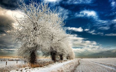 Winter Landscape Wallpaper Winter Landscapes Wallpapers Wallpaper