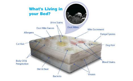 We specialise in deep cleaning mattresses following bed wetting accidents, general mattress cleans, after builder. Mattress Cleaners in Cape Town | Call 021 300 1875